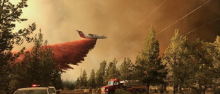 Träd brinner som facklor i Oregons skogar