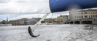 Östersjölaxens genetiska mångfald minskar