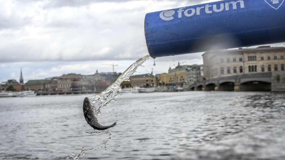 Det årliga laxsläppet i Stockholms ström 2020. Utsättningen av lax och havsöring startade här 1973 för att bevara fiskbeståndet och behålla möjligheten att fiska mitt i city.