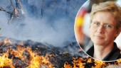 Inför vårvärmen: Expertens tips för att undvika gräsbränder