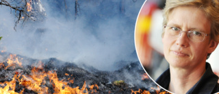 Inför vårvärmen: Expertens tips för att undvika gräsbränder