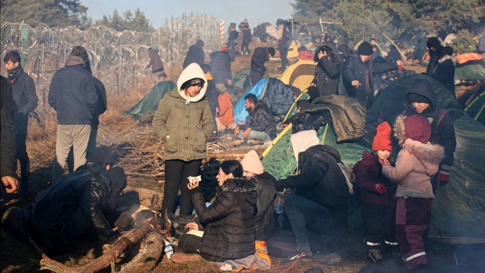 Migranter samlade vid gränsen mellan Belarus och Polen.