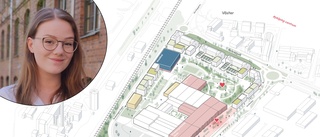  Planen för Spelhagen: Ny skola och runt 350 bostäder