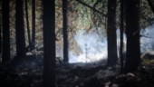 Senaste nytt om skogsbränderna i Norrbotten • Här brinner det just nu • Räddningstjänsten befarar nya bränder