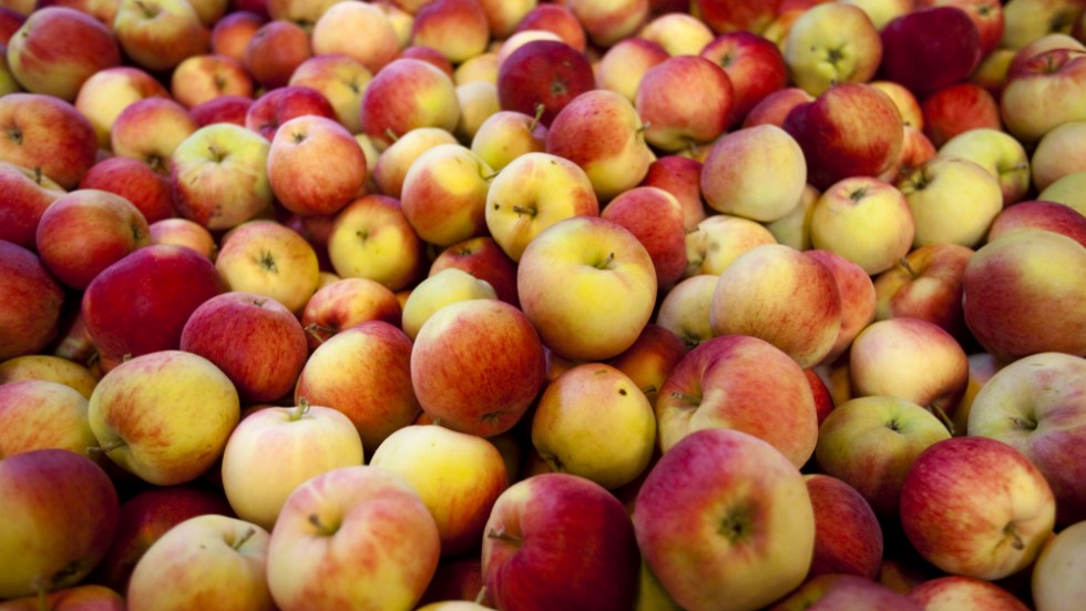 ”Om du vill köpa två äpplen behöver du inte en påse som rymmer tolv”, skriver insändarskribenten. 