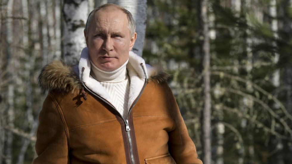 Den ryske presidenten Vladimir Putin poserar i tajgaskogen i Sibirien.
