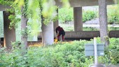 Polisen intresserad av iakttagelser från Braskens bro: "Sökt efter föremål"