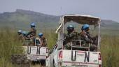 FN larmar om massvåldtäkter i Kongo-Kinshasa
