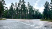 Mystiska stölder av skyltar utanför Katrineholm gäckar Trafikverket
