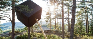 Västervik får tio häftiga vindskydd: "Behöver tio kvadratmeter att bygga på" • Så kan de se ut