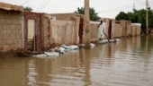 Tusentals flyr Nilens skoningslösa vatten