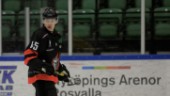 Charlie Björlin, 22, tillbaka i svensk hockey – klar för topplag