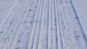 Preparerat på tunt snötäcke – så här är längdskidläget