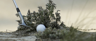 Gotland kan blir Sveriges nästa golfdestination