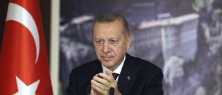 Kritik mot ny turkisk lag: "En ny mörk epok"