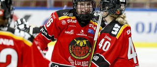 Så var Luleå Hockey/MSSK:s hemmapremiär minut för minut