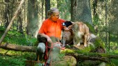 Gratis svampkurs hela helgen – Helena visar svampsök med hund: "Enormt intresse"