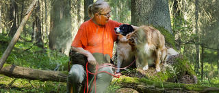 Gratis svampkurs hela helgen – Helena visar svampsök med hund: "Enormt intresse"