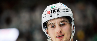 Nils Höglander kan inleda i SHL