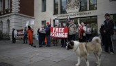 Assange utlämnas ej – kan bli fri mot borgen