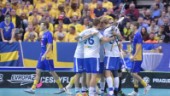 Finland vill skjuta på VM