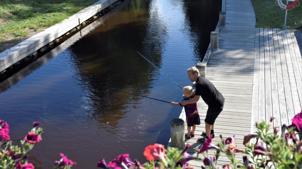 Att fiska betyder så olika saker. Dels som på bilden en far och son som metar. Dels "jättetrålare" som riskerar att utarma Östersjön.