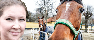 Lagstiftning mot hästhagar är bajs