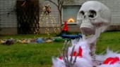 Deras skelett i trädgården sprider julskratt