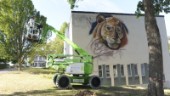 Västervik street art festival smygstartar redan nu