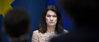 Ann Linde vill medla i Belarus