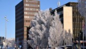 Minus 238 miljoner 2020: Jättetapp för Skellefteå Kraft