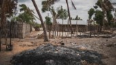 IS-lojalister sätter skräck i Moçambique
