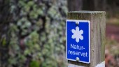 Här är Östergötlands sex nya naturreservat 2020
