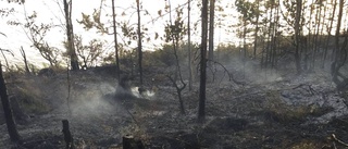 JAS-plan upptäckte skogsbrand