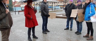 Fredagsmanifestation för klimatarbetet