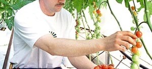 Öppet hus i hans tomatodling