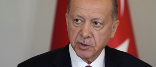 Erdogan: Sverige en vagga för terrorism