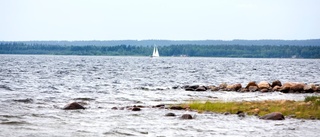 Segdraget beslut om naturreservat