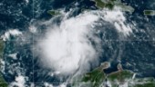 Stormen ökar i styrka utanför Florida
