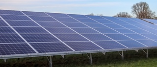 Klartecken för solcellspark i Nässja – "Men det finns en försiktighetsåtgärd"