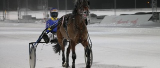 Yakari vinterns häst i Boden
