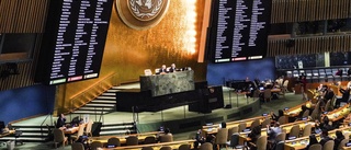 FN fördömer Rysslands "olagliga annekteringar"