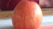 Botanist: Därför har äpplet så lång hållbarhet