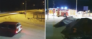 Bussolycka i Sikeå vid E4 – flera fordon inblandade
