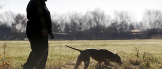 Hundägare avled - hunden omhändertogs av Länsstyrelsen