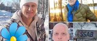 "Klimatförnekare" blir SD:s nya toppnamn: "Klokt med kärnkraft i Luleå" 
