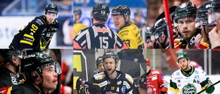 Lista: Så går det för länets spelare i Hockeyallsvenskan, Europa och världen • Stark i KHL • Trea i ligan • Titelkandidat i Polen