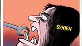 Ett tandlösare Syrien …