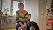 Lena från Enköping ställer ut på Liljevalchs vårsalong – En av flera tusen sökande 