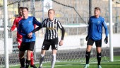 Tillbaka i svensk fotboll – efter åren på Island: "En storklubb"